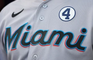 Marlins encontra ‘cachorro triste’ viral que não ganhou cachorro-quente e recompensará menino muito bom com ‘dia dos sonhos’ no estádio