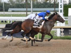 Antevisão do Breeders’ Cup Classic em Stephen Foster em Churchill Downs