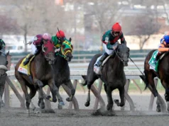Reta final: última pista de cavalos de Nova York, Aqueduct, corrida ao vivo