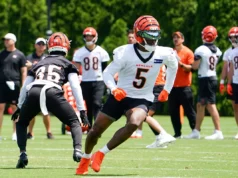 ASSISTIR: Favorito dos fãs do Bengals no banco de reservas do Savannah Bananas