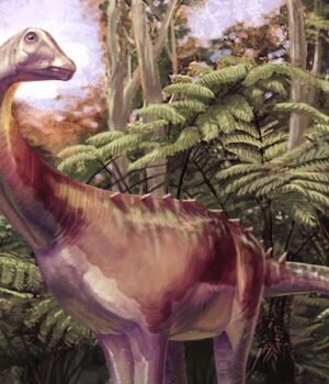 life-reconstruction-of-the-antarctic-sauropod-andrew-mcafee-carnegie-museum-of-natural-history-jpeg.jpeg