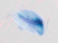 Em janeiro de 2026, cientistas relataram que o cérebro humano processa a linguagem falada numa sequência que reflete de perto a arquitetura em camadas de modelos avançados de linguagem de IA – sugerindo que cérebros biológicos e redes artificiais podem criar significado através de cálculos graduais surpreendentemente semelhantes.
