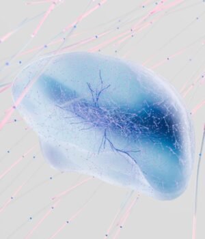 neural-network.jpg
