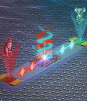 photonic-valleytronic-chip-for-information-processing.webp