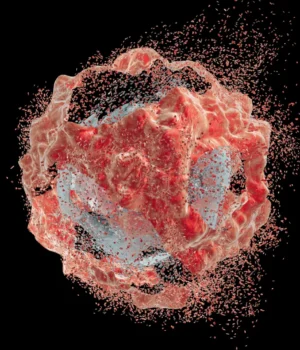 tumor-cancer-cell-destruction.webp
