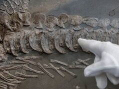 Se outra civilização avançada vivesse na Terra antes de nós, saberíamos?
