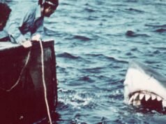 A história da vida real que todos associam a ‘Tubarão’ não é a que a inspirou