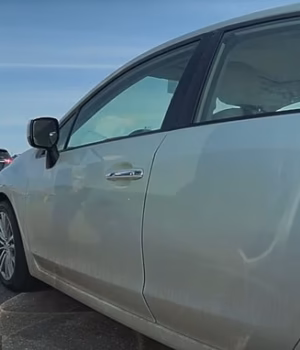102749197-15990661-Adams_acts_of_vandalism_were_all_caught_on_video_because_Teslas_-a-2_178455525038.avif