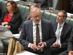 Anthony Albanese levanta sérias questões sobre o suposto hack do Commonwealth Bank – conforme acusado pela EY e seu irmão