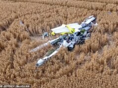 Piloto teme quando aeronave leve cai em campo perto da pequena vila de Essex