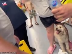 No momento em que a mulher libertou o cachorro da van sob um calor de 34°C, ela teve uma briga furiosa com o dono, que gritou ‘Dê-me meu cachorro!’ Ele ameaça dar um soco na cara dela