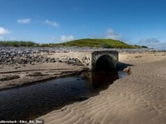 Mais de 600 funcionários da Irish Water receberam 13,1 milhões de euros em bónus em 2024, apesar de 60 por cento das suas estações de tratamento serem de qualidade inferior. Perguntamos quantos funcionários não receberam o bônus. A resposta? Uma mera fração…