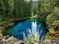 Suas águas azuis cristalinas atraem turistas para nadar… matá-los momentos depois: a infame ‘Piscina Azul’ do Oregon reivindica o turista de 21 anos como a última vítima