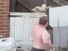 Momento chocante: bandido sem camisa agarra a cabeça de um cachorro aterrorizado e a joga sobre uma cerca de 2 metros