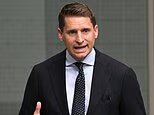 Insider agita o futuro político de Andrew Hastie enquanto a liderança esperançosa resmunga ataque ao ‘peixe-sapo dos vizinhos’ Pauline Hanson