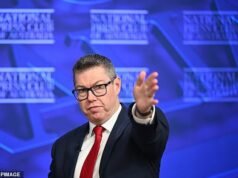 A estúpida calúnia nazista sobre o ex-primeiro-ministro da Austrália surpreendeu Canberra. Se Pat Conroy, do Partido Trabalhista, quer jogar esse jogo estúpido, vamos jogar direito: Peter van Onselen