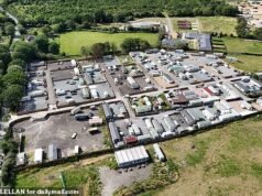 Proprietários de casas que moram perto de um greenfield em Essex, onde os viajantes têm duas horas de ‘apropriação de terras’ no fim de semana, expressaram sua raiva porque os criminosos podem viver lá durante todo o ano.