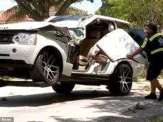 O estranho acidente viu um raio atingir um choupo que depois bateu no Range Rover de um homem de Miami, mandando-o para o hospital.