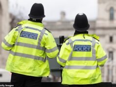 O verdadeiro problema da nossa força policial é a tóxica “cultura de empregos para rapazes”, escreve o ex-secretário do Interior David Blunkett.