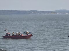 Um homem foi levado ao hospital depois que um jet ski e um carro que transportava uma criança colidiram na costa de Hampshire