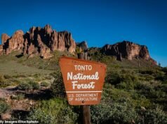 Homem do Arizona é preso por viver em um acampamento cheio de lixo em uma floresta nacional por quase uma década