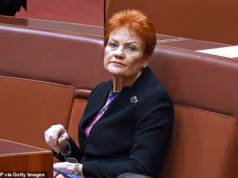 Novo impulso de votação para Pauline Hanson enquanto o apoio de One Nation cai novamente após seu discurso polêmico