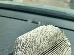 Os pais ficam horrorizados depois que as crianças recebem ouriços de papel feitos de páginas de romances eróticos
