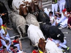 Quando a famosa festa começa, os corredores de touros de Pamplona são atirados e pelo menos três animais feridos são pisoteados.