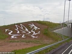 Dragão de 56 pés ‘Bem-vindo ao País de Gales’ esculpido na beira da estrada desaparece após ser coberto de grama ‘devido à falta de manutenção’