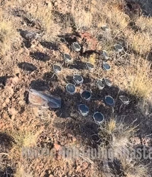 109887665-15962083-The_mystery_of_nearly_200_solar_powered_speakers_tucked_into_a_h-a-34_17836195743.avif