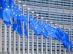 Os ministros apelam a Bruxelas para facilitar as novas regras fronteiriças pós-Brexit, em meio a preocupações crescentes com o caos nas viagens nas férias de verão