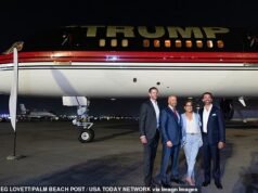 Alertas de tráfego aéreo em todo o país geram aplausos de três letras para Trump