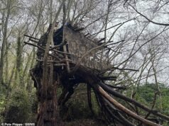 O conselho de Killjoy ordena que o pai destrua a casa da árvore ‘mágica’ que ele construiu com o filho autista de nove anos