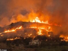 Incêndios florestais varreram a Europa em meio a uma onda de calor sufocante, com dezenas de desaparecidos na Espanha, depois que as mortes na França aumentaram quase um terço.