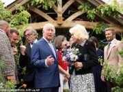 Regulamentações ambientais vigilantes forçam os agricultores a retirarem-se do Chelsea Flower Show devido à proibição da turfa