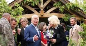 Regulamentações ambientais vigilantes forçam os agricultores a retirarem-se do Chelsea Flower Show devido à proibição da turfa