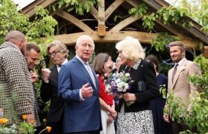 Regulamentações ambientais vigilantes forçam os agricultores a retirarem-se do Chelsea Flower Show devido à proibição da turfa