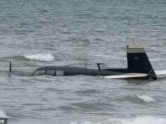 Pai e filho são resgatados após pouso de emergência no mar
