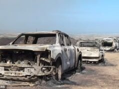 Caravana de fuga britânica destruída em um incêndio florestal: imagens assustadoras mostram como as vítimas espanholas do inferno chegaram a um beco sem saída enquanto fugiam, tentando voltar antes que um inferno as atingisse