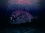 Praga venenosa do peixe-sapo: como os locais de férias no Mediterrâneo são atormentados por uma espécie de peixe de pesadelo com dentes afiados que podem perfurar ossos humanos