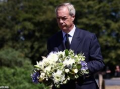 Nigel Farage permite conversações com a equipe de segurança de elite do governo após o ‘assassinato’ de Anne Widdecombe