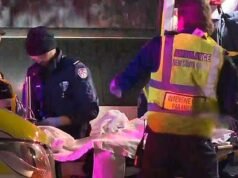 Homem de Sydney acusado de matar avô inocente em sua caminhada matinal recebeu alta do hospital de saúde mental há oito meses