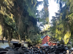 A ‘propriedade dos sonhos’ do homem de Oregon rapidamente se transforma em pesadelo… depois que os construtores encontram mais de 50.000 pneus em terra