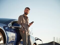 O subsídio trabalhista para carros elétricos impulsionou as vendas de EV em seu primeiro ano?