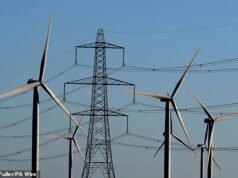 A energia eólica é parcialmente responsável pelo quase apagão? Especialistas dizem que aumentar a dependência de energia líquida zero pode colocar em risco a segurança energética do Reino Unido