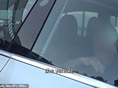 Vídeo perturbador mostra uma mulher idosa presa dentro de um Tesla quente que deveria estar no ‘modo de segurança para animais de estimação’