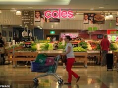 Coles abandona oferta de US$ 4 bilhões para possuir a Petbarn enquanto os investidores respiram aliviados