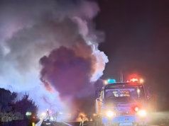 Um motorista de caminhão morreu depois que um acidente devastador em uma importante rodovia australiana destruiu dois veículos