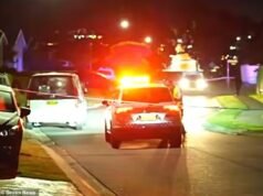 Apelo surpresa do acusado do assassino após o corpo do pai ser encontrado no fogo: ‘Chame-me de Ardi’