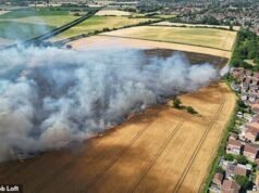 Agricultores heróis do momento enfrentaram as chamas para abrir aceiros de emergência em seus tratores para impedir que o incêndio se espalhasse pelo conjunto habitacional.